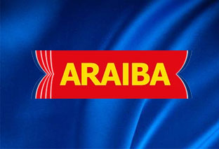 ASEAN Responsible and Inclusive Business Alliance (ARAIBA)