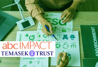 ESG Consultancy Projects for ABC Impact