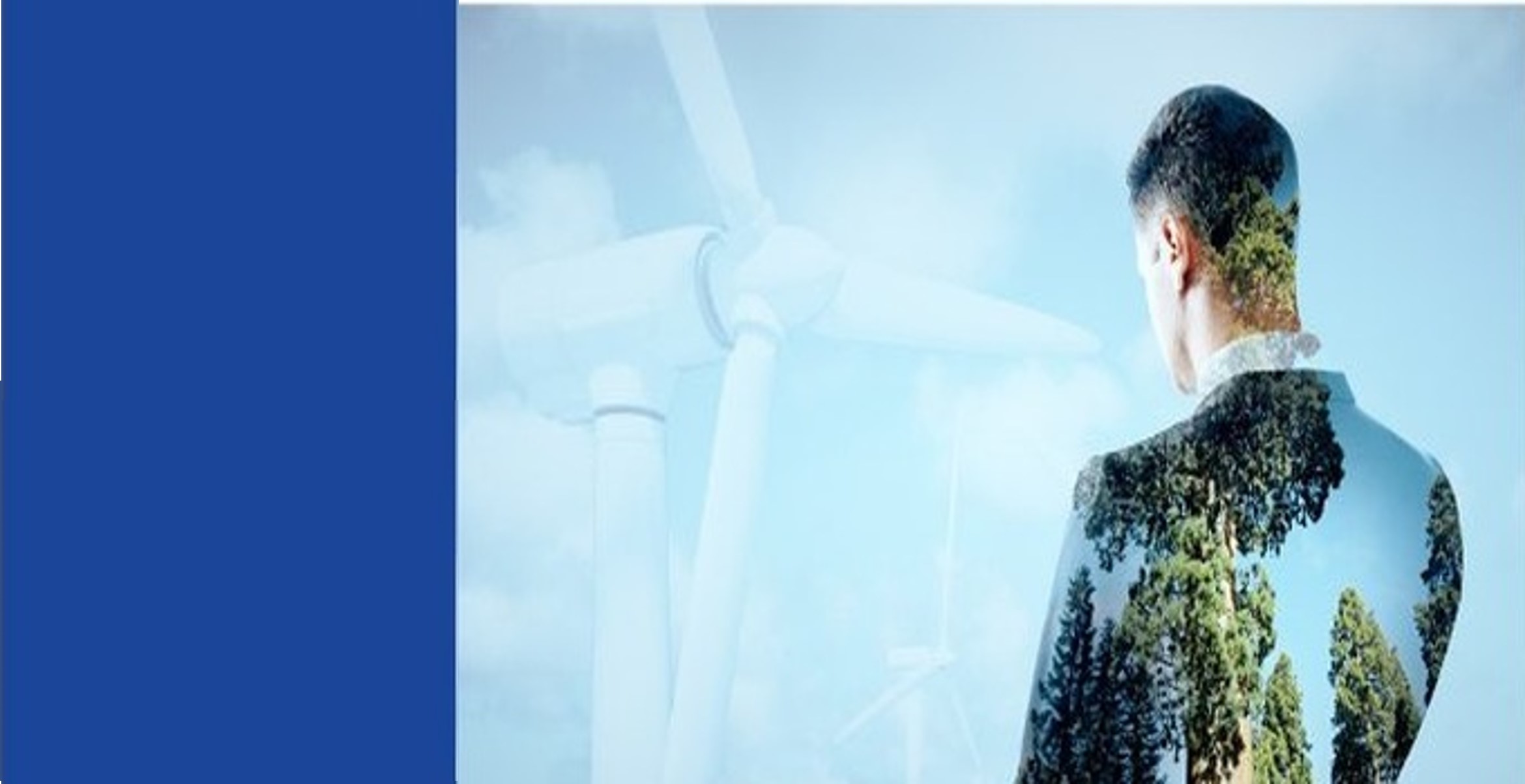 ESG Integration Strategies for SMEs